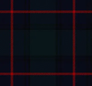 Hostess Kilted Skirt With Free Matching Sash - Image 4