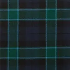 Hostess Kilted Skirt With Free Matching Sash - Image 5