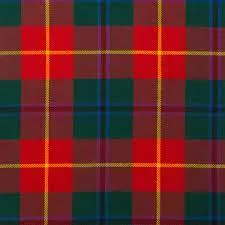 Tartan Case for glasses or phone - custom made in any tartan - Image 12